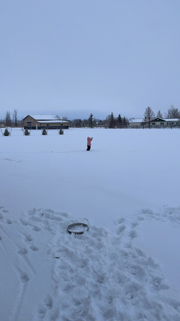 A child in a bright pink jacket explores a vast snow-covered field, with a rural house and distant trees visible in the background under an overcast sky.