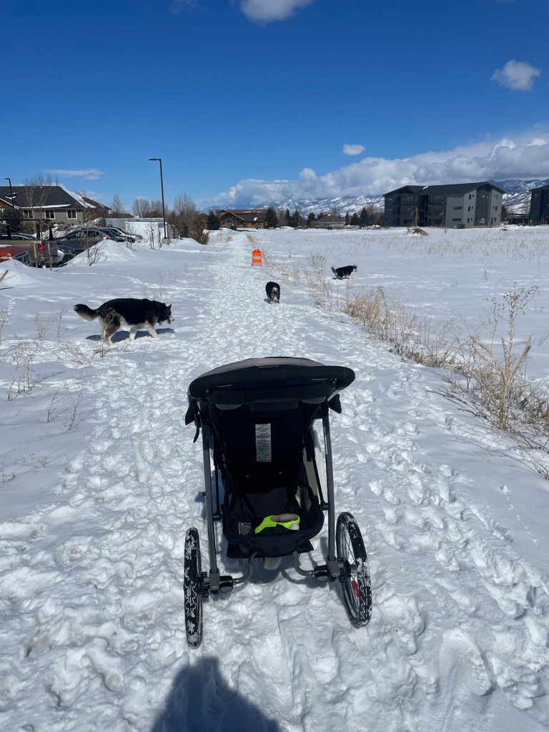 A baby stroller on a snowy trail with three dogs walking ahead in a scenic, snow-covered area with mountains in the background under a clear blue sky.